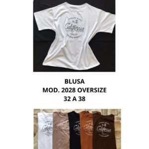 BLUSA 2028 OVERSIZE (32 A 38).