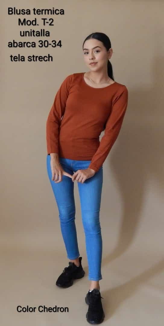 TERMICA BASICA T-2 SHEDRON