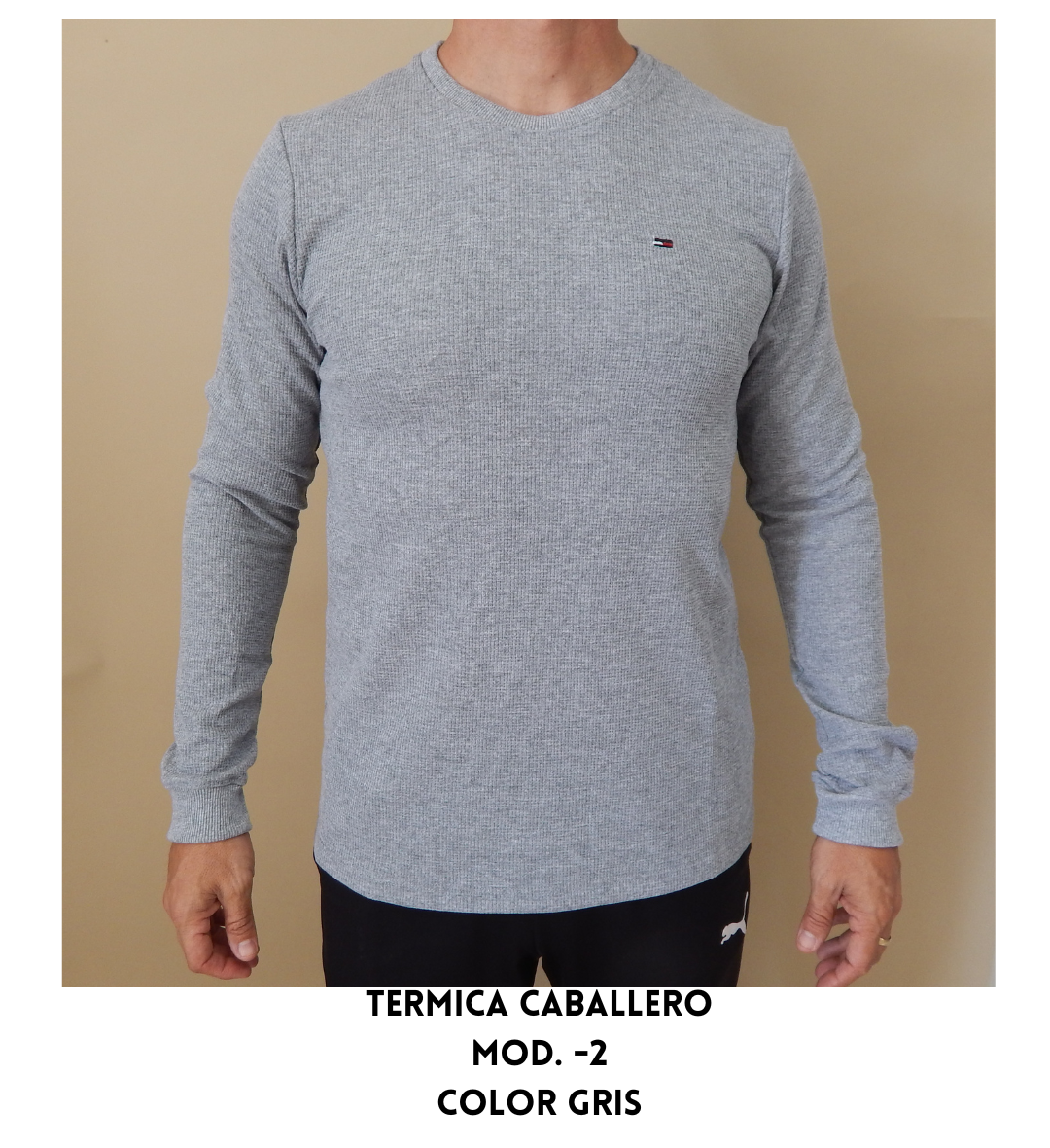 TERMICA DE CABALLERO 02 GRIS