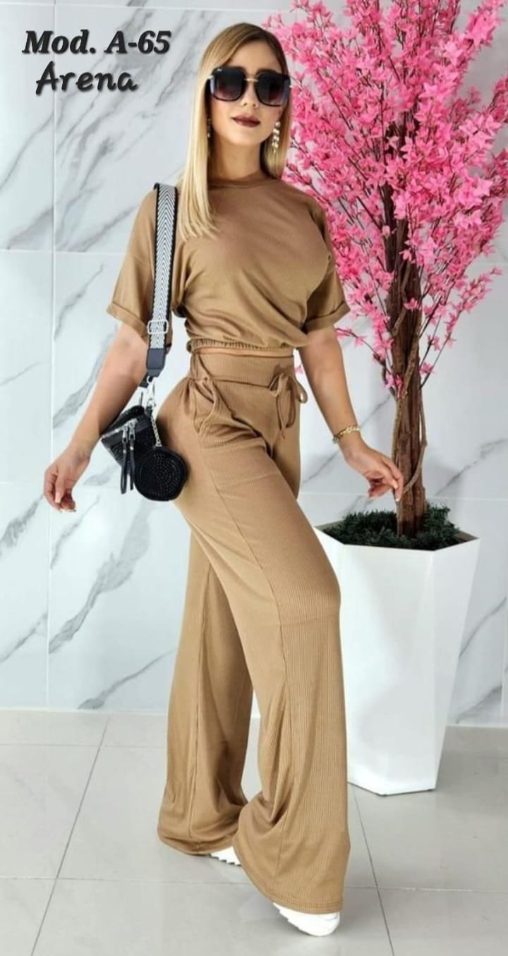 CONJUNTO A 65 ARENA.